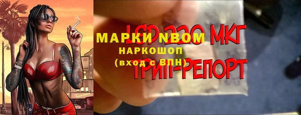 гидропоника Нея