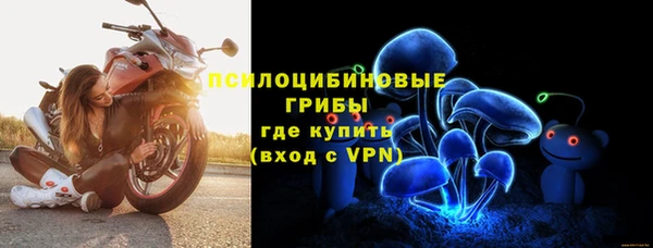 сатива Алагир
