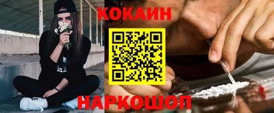 крисы Гатчина