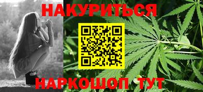 крисы Абакан