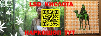 метадон Гай