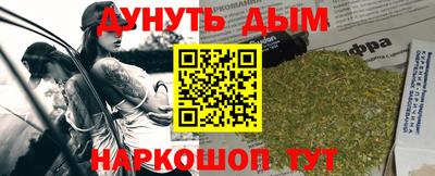 крисы Абакан