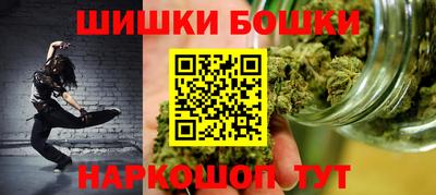 крисы Гатчина