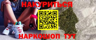 крисы Гатчина
