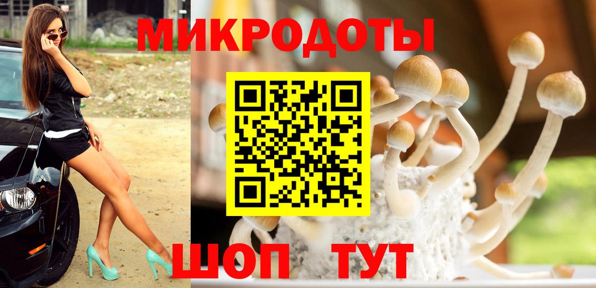 Ртищево  Галлюциногенные грибы ЛСД  наркошоп  Вход с VPN 