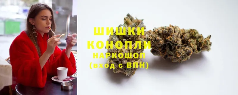 как найти наркотики  Ртищево  Бошки марихуана White Widow 